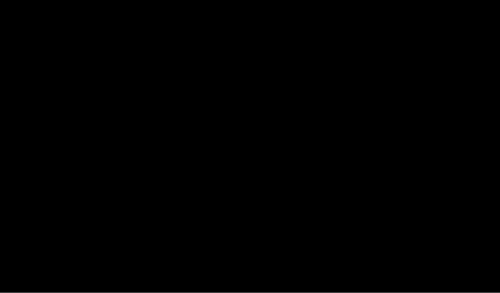 Bandera Negra Circuito